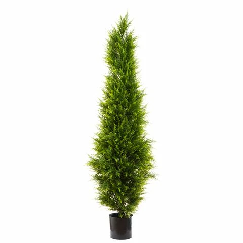 Florabelle - Cypress Pine 1.8m