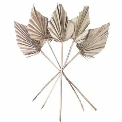 Coastal Home - Spade Palm Dried Grey 45cm 5pce