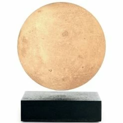 Gingko - Smart Moon Lamp Black