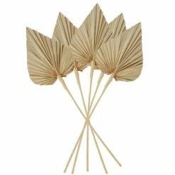 Coastal Home - Natural Small Frond Arrangement 5pce