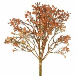 Florabelle - Gypsophila Bundle Apricot 36cm