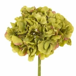 Florabelle - Hydrangea Green 50cm