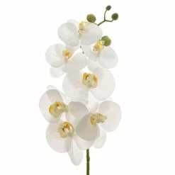 Florabelle - Real Touch Phalaenopsis Spray W/Buds 70cm