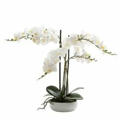 Florabelle - Phalaenopsis Real Touch Orchid In A White Round Pot 45cm