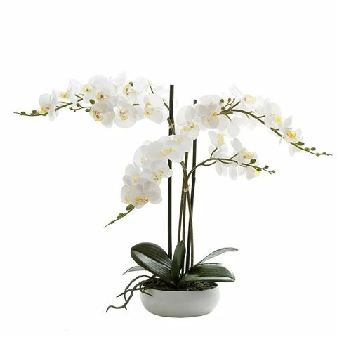 Florabelle - Phalaenopsis Real Touch Orchid In A White Round Pot 45cm