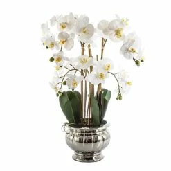 Florabelle - Potted Orchid In Silver Bowl Large