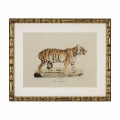 Vandenberg - Print Tiger Royal Femelle