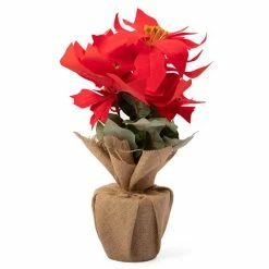 Peter's - Poinsettia Potted Burlap Flowers Red 37cm