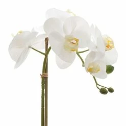 Florabelle - Real Touch Phalaenopsis Orchid W/Leaves 53cm