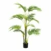 Florabelle - Areca Palm Tree W/Five Trunks 1.2m