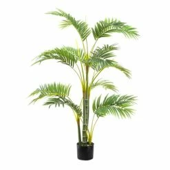 Florabelle - Areca Palm Tree W/Five Trunks 1.2m
